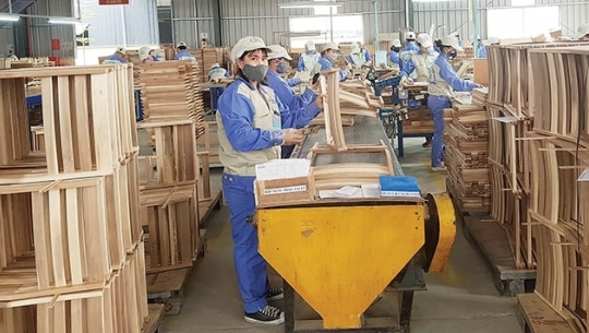 Bản tin Lâm nghiệp ngày 1/4/2024: 50% dự án FDI ngành gỗ đến từ Trung Quốc