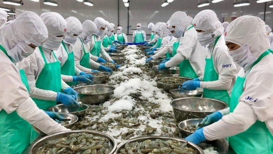 Bản tin Thủy sản ngày 1/4/2024: Sản phẩm thủy sản xuất khẩu tới 170 thị trường