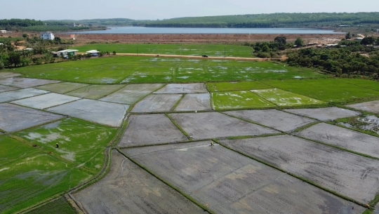 Nước mang thảm xanh đến vùng biên Bình Phước