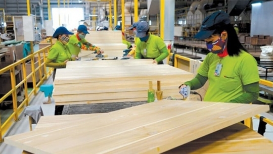Bản tin Lâm nghiệp ngày 9/5/2024: Đơn hàng phục hồi, ngành gỗ có thể tăng tốc