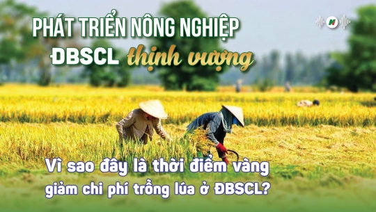 Áp dụng quy trình trồng lúa mới thống nhất cho cả vùng ĐBSCL, làm được không?