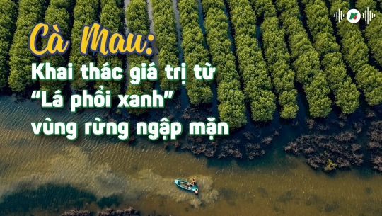 Cà Mau: Khai thác giá trị từ 'Lá phổi xanh' vùng rừng ngập mặn