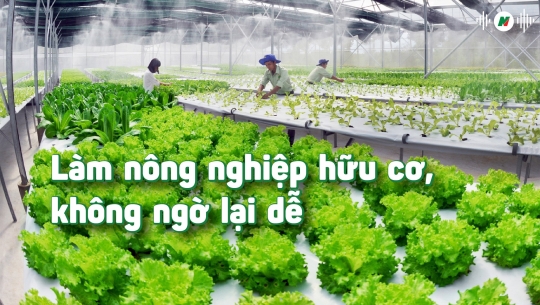 Làm nông nghiệp hữu cơ, không ngờ lại dễ