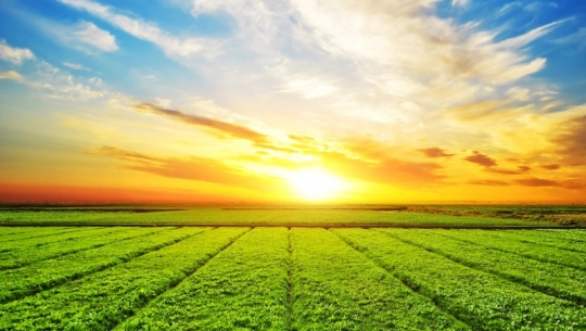 Chắp cánh để các HTX nông nghiệp phát triển kinh tế xanh