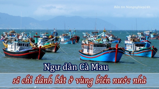 Ngư dân Cà Mau sẽ chỉ đánh bắt ở vùng biển nước nhà