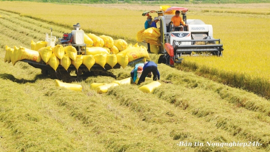 Việt Nam - Ailen cùng ưu tiên đảm bảo an ninh lương thực, thực phẩm
