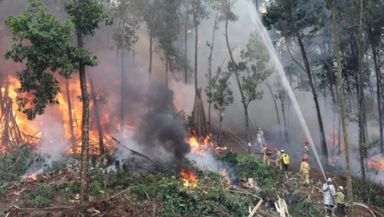 Bản tin Lâm nghiệp ngày 25/12/2023: Hơn 800 người diễn tập phòng cháy, chữa cháy rừng