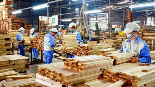 Bản tin Lâm nghiệp ngày 29/2/2024: Giá trị xuất khẩu gỗ sang Mỹ tăng đột biến