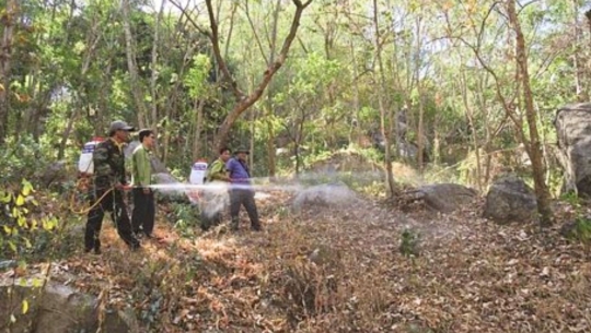 Băng rừng tuần tra 24/24 trong mùa khô để phòng chống cháy