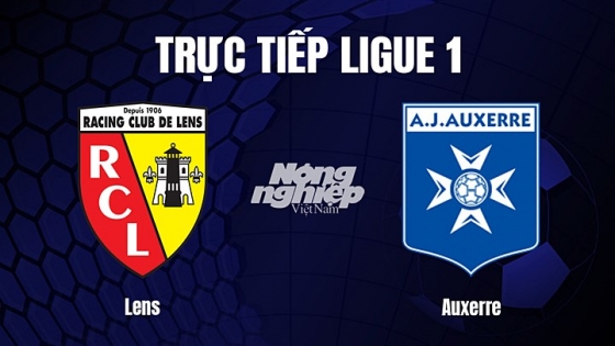 Trực tiếp bóng đá Lens vs Auxerre hôm nay 14/1