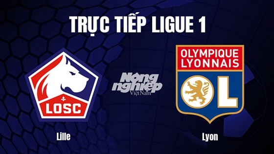 Trực tiếp bóng đá Lille vs Lyon hôm nay 11/3