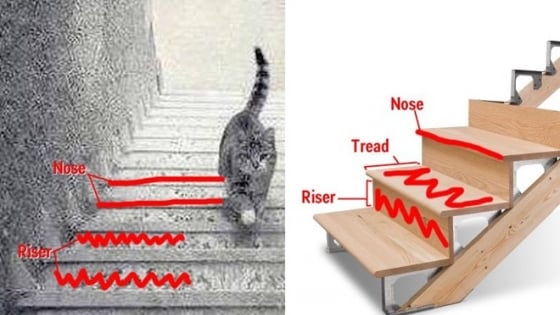 Hãy đến xem chú mèo tinh nghịch đang đứng trên cầu thang với những cử chỉ hài hước, đáng yêu.