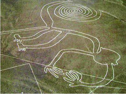 Hình vẽ trên cao nguyên Nazca