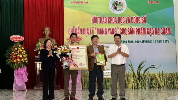 Công bố chỉ dẫn địa lý cho sản phẩm gạo Ba Chăm