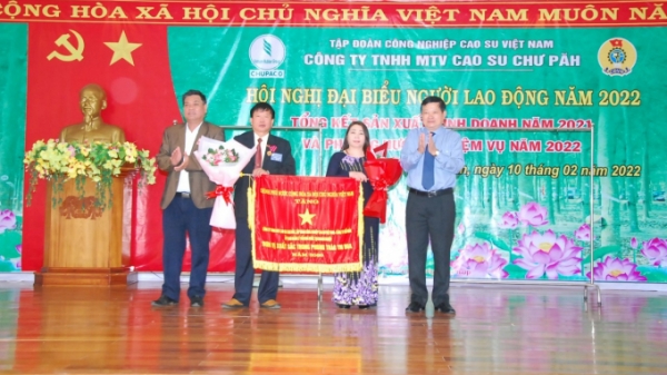 Công ty Cao su Chư Păh hoàn thành xuất sắc nhiệm vụ trong năm đại dịch