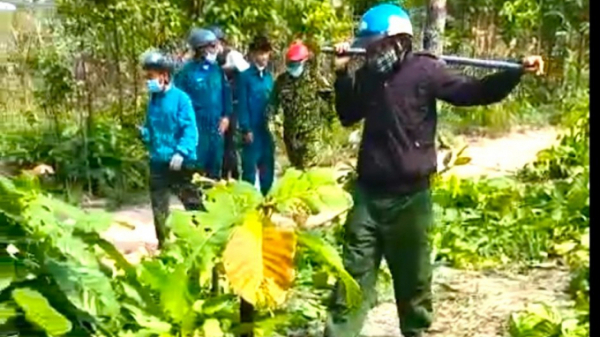 Nhân viên bảo vệ rừng bị hành hung
