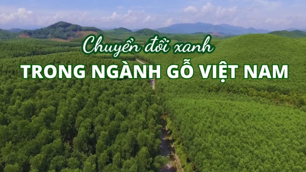 Chuyển đổi xanh trong ngành gỗ Việt Nam
