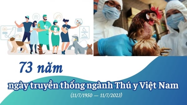 73 năm ngày truyền thống ngành Thú y Việt Nam