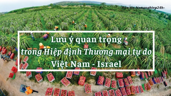 Lưu ý quan trọng trong Hiệp định Thương mại tự do Việt Nam - Israel
