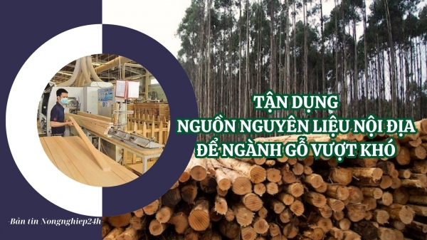 Tận dụng nguồn nguyên liệu nội địa để ngành gỗ vượt khó