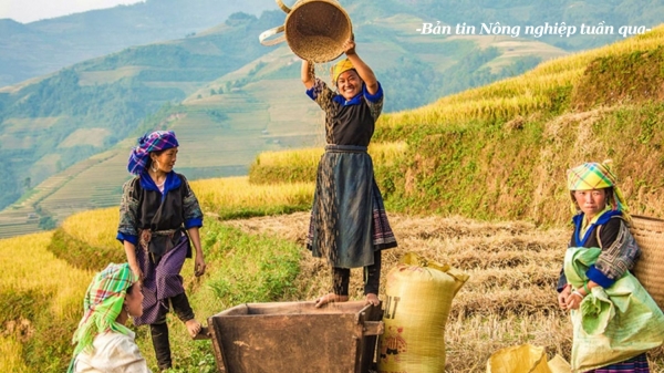 Phát triển du lịch nông thôn trở thành thương hiệu Việt Nam