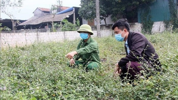 Xã 135 - điểm sáng giảm nghèo ở xứ Tuyên