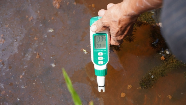 Thời tiết nông vụ ngày 28/11/2023: Kiểm tra nguồn nước trước khi tưới cho cây trồng