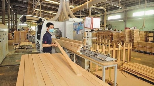 Bản tin Lâm nghiệp ngày 30/12/2023: Ngành gỗ cần ‘sức bật mới’