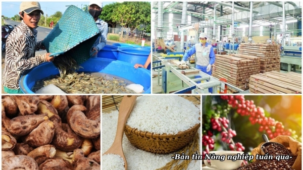 Xuất khẩu nông sản tăng trưởng ấn tượng trong tháng đầu năm