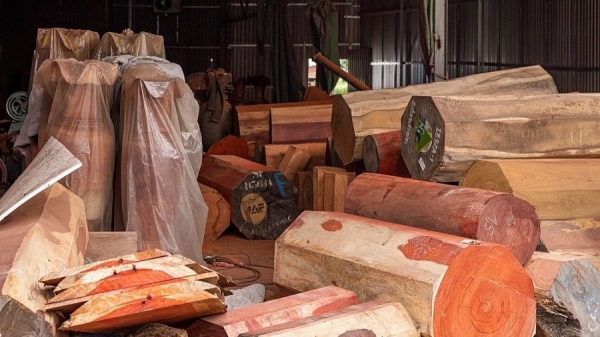 Bản tin Lâm nghiệp ngày 10/4/2024: Việt Nam nhập khẩu gỗ từ hơn 100 quốc gia