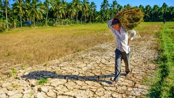 Thời tiết nông vụ ngày 17/4/2024: Nam Bộ vẫn nắng 'héo cây, khô cành'