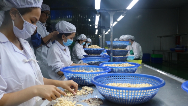 Đưa Việt Nam thành trung tâm chế biến và logistics nông sản