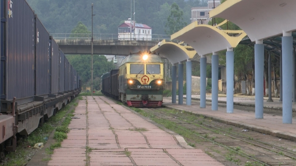 Thanh long đi đường sắt qua Trung Quốc: Thành công bất ngờ