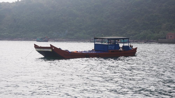 Quảng Ninh bắt giữ 12 tấn sứa xuất lậu sang Trung Quốc