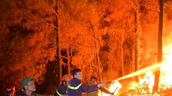 Quảng Ninh: Cháy rừng thông tại thị xã Đông Triều