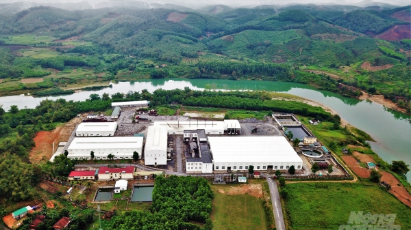 Nhà máy sản xuất bột giấy Tân Hồng: Đà hồi sinh… nửa vời
