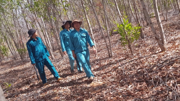 Bình Thuận: Cảnh báo cháy rừng cấp cực kỳ nguy hiểm