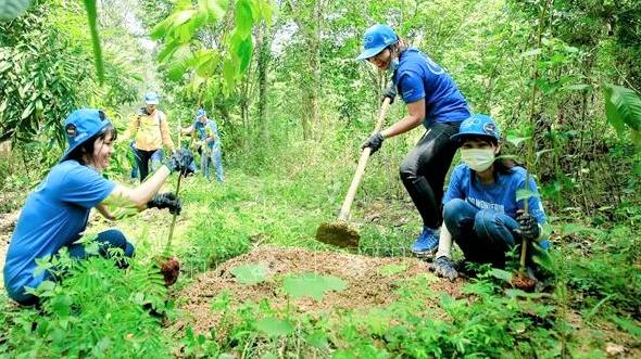 Đồng Nai: Cấp giấy chứng nhận cho hơn 131 ngàn ha rừng