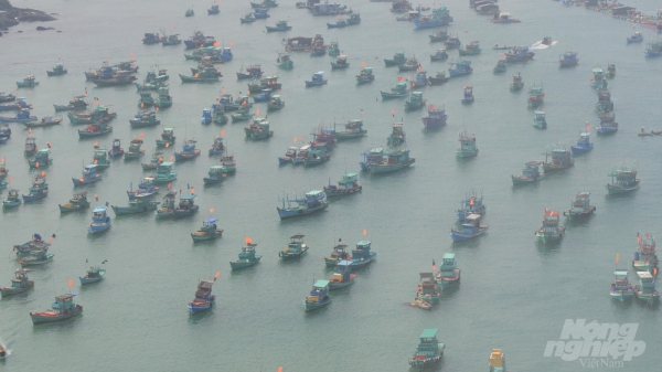 Kiên Giang: Khắc phục tình trạng khai thác thủy sản đến mức 'tận diệt'