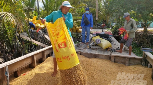 Minh bạch thông tin để ổn định thị trường lúa gạo