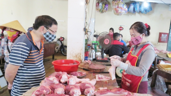 Quảng Bình: Huy động nguồn lực tái đàn lợn