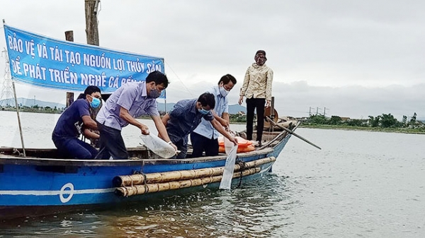 Quảng Bình: Thả trên 340.000 tôm, cá giống tái tạo nguồn lợi thủy sản