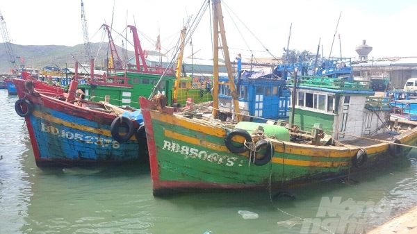 Bình Định: Từ đầu năm đến nay không có tàu cá vi phạm IUU
