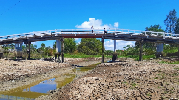 Sạt lở, sụt lún đất tàn phá vùng ngọt hóa Cà Mau