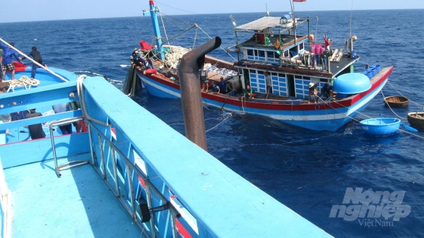 Lệnh cấm biển phi lý của Trung Quốc càng khiến ngư dân kiên tâm bám biển