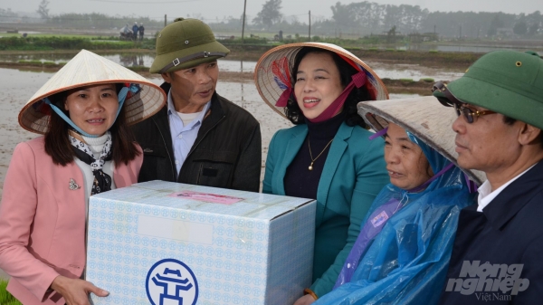 Hà Nội: Triển khai gấp gói hỗ trợ 700 tỉ đồng để thúc đẩy nông nghiệp