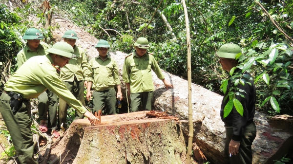 Thành lập đoàn công tác liên ngành kiểm tra rừng Trường Sơn