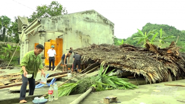 Tuyên Quang: Mưa giông khiến 1 người bị thương, hơn 200 ngôi nhà bị hư hỏng