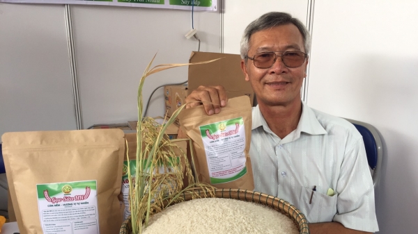 Gạo sữa Dương Xuân Quả được thị trường đón nhận