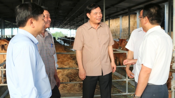 Bộ trưởng Nguyễn Xuân Cường gợi ý chiến lược phát triển nông nghiệp vùng 'chảo lửa'